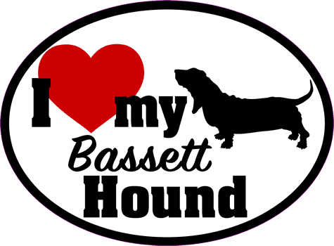 Bassett Hound