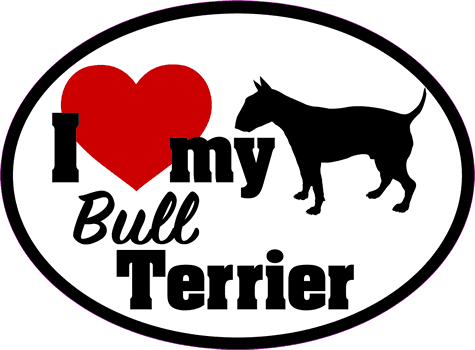 Bull Terrier