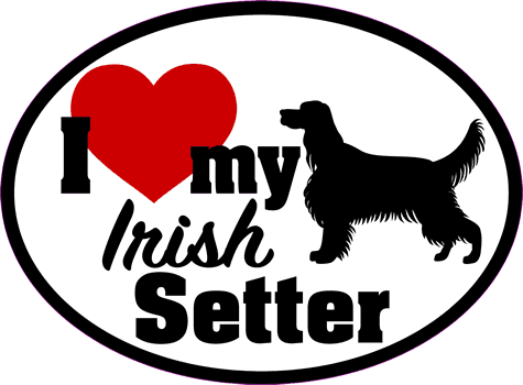 Irish Setter